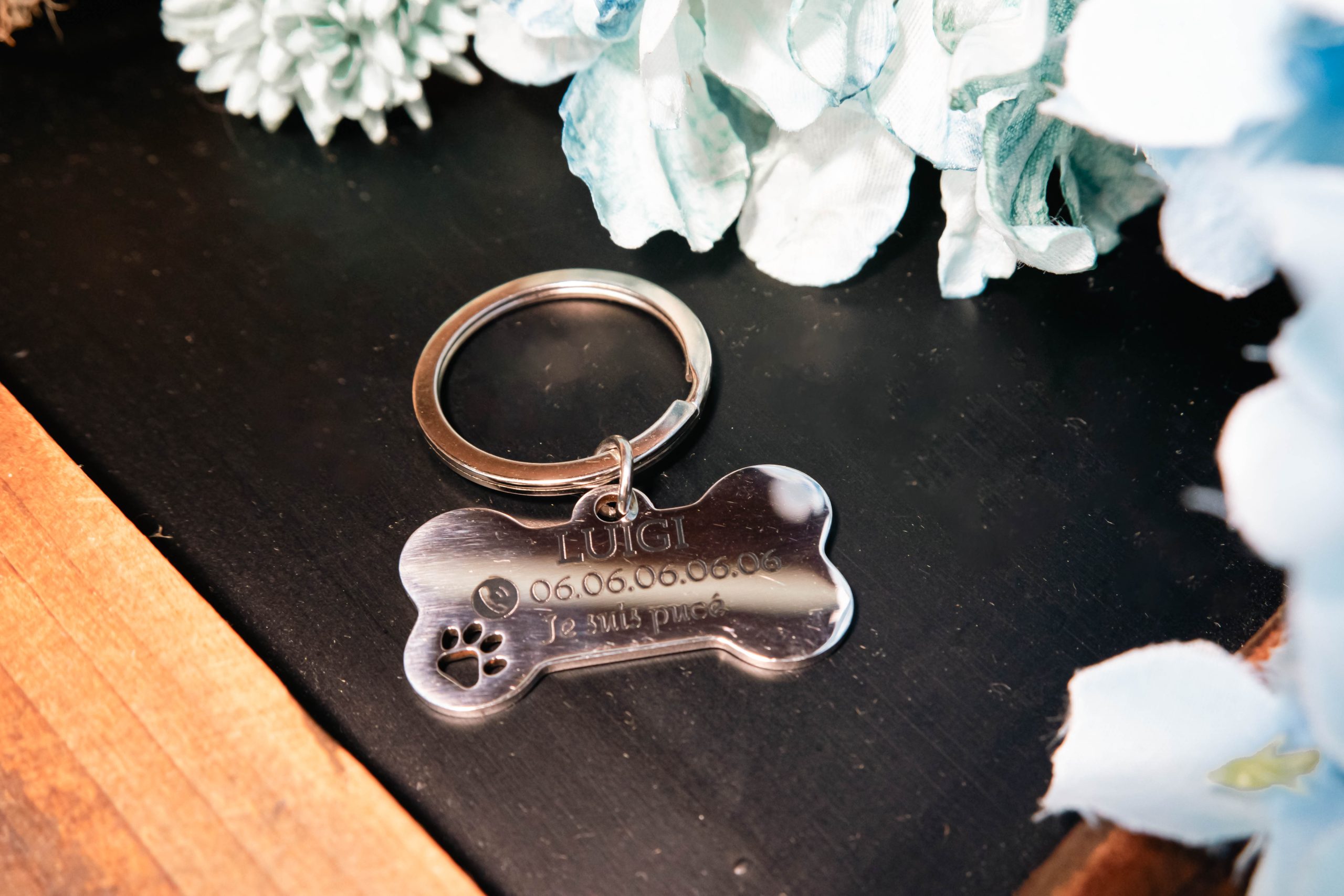 médaille d'identification pour chien médaille d'identification pour chien