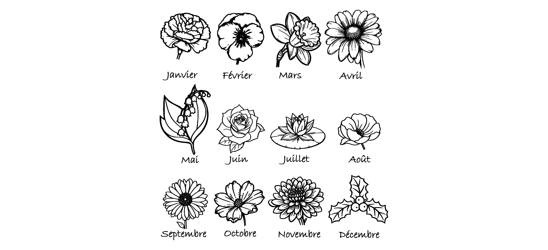 fleurs naissance fleurs naissance