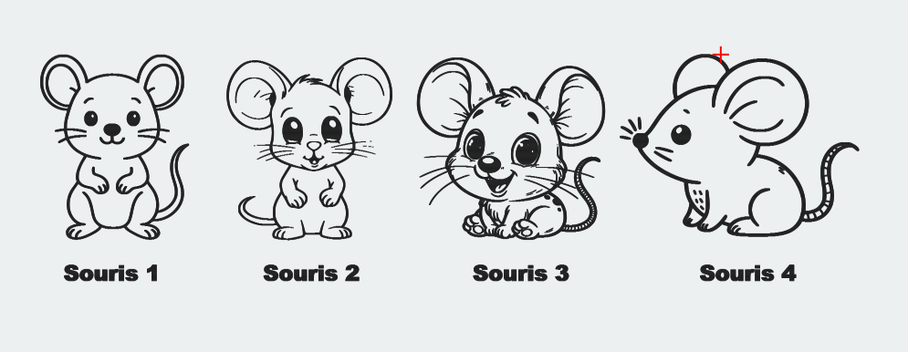 modèle choix souris dent modèle choix souris dent