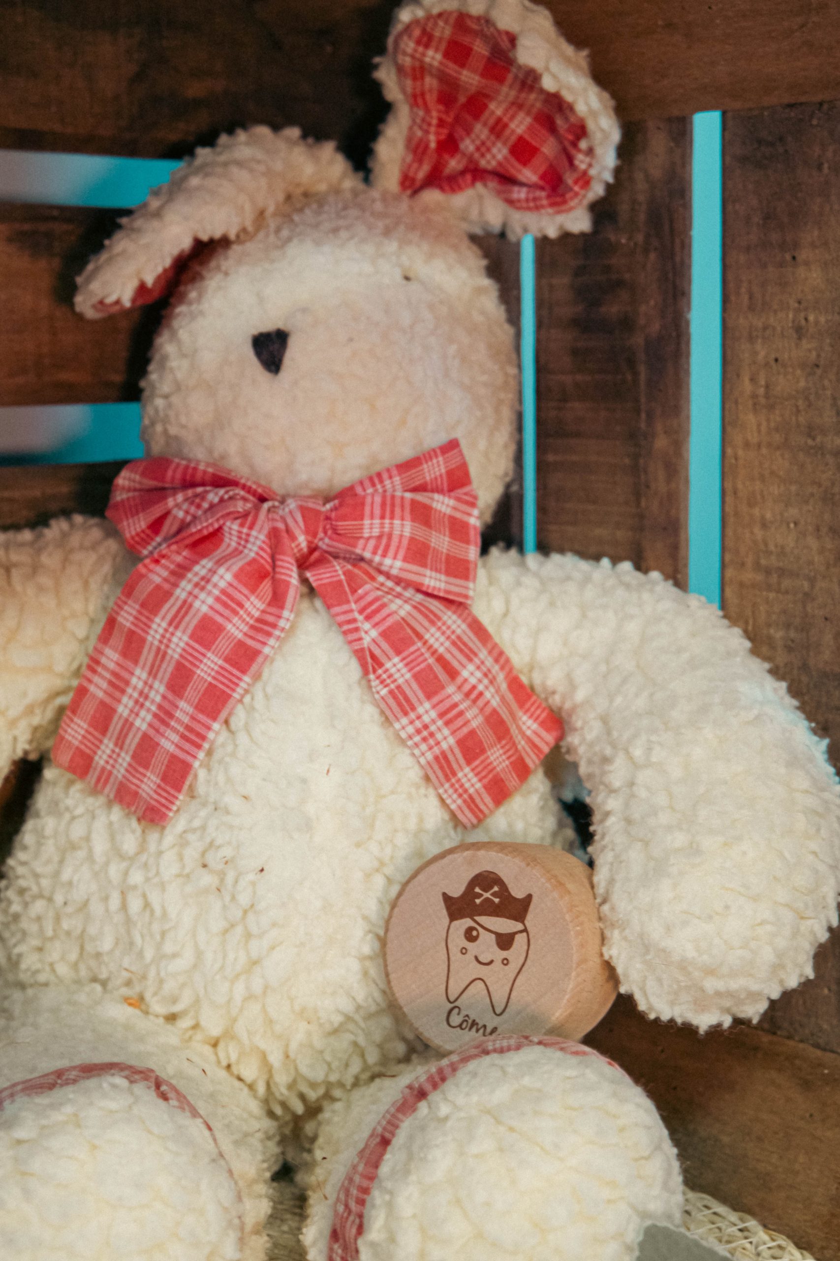 boite à dents boite à dents