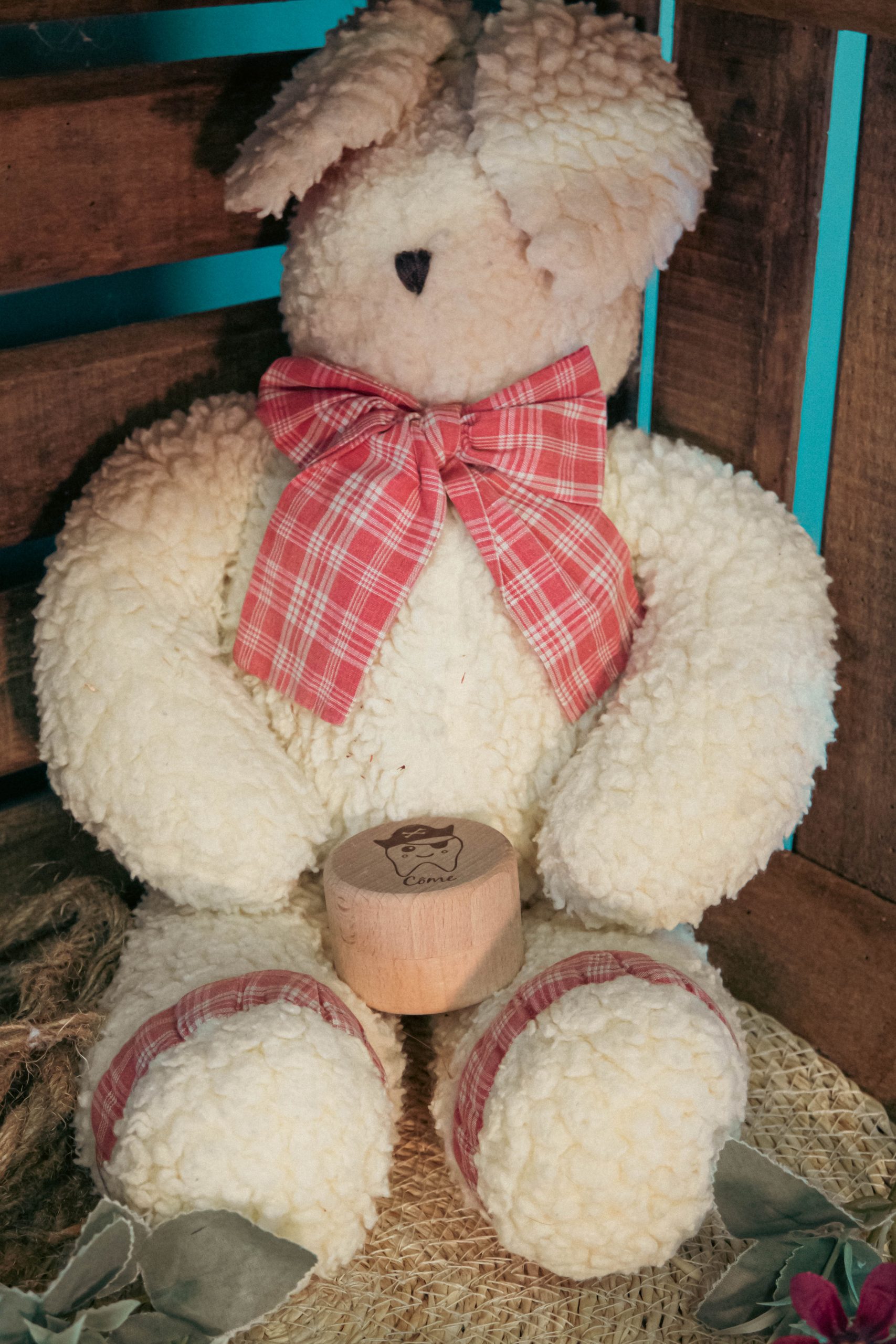 boite à dents boite à dents